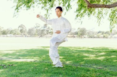 Yakışıklı adam Thai Chi yapıyor.