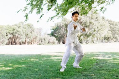 Yakışıklı adam Thai Chi yapıyor.
