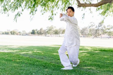 Yakışıklı adam Thai Chi yapıyor.