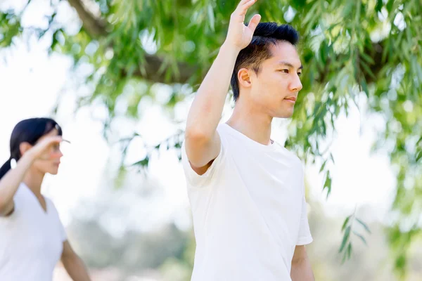 Människor som utövar thai chi i park — Stockfoto