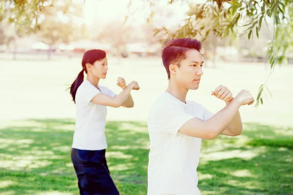 People practicing thai chi in park Royalty Free Stock Photos