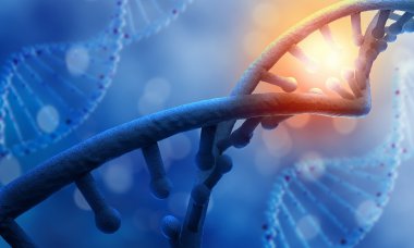 DNA molekülü kavramsal görüntü