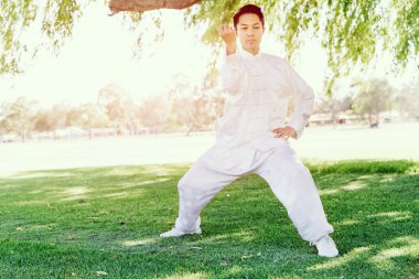 Yakışıklı adam Thai Chi yapıyor.