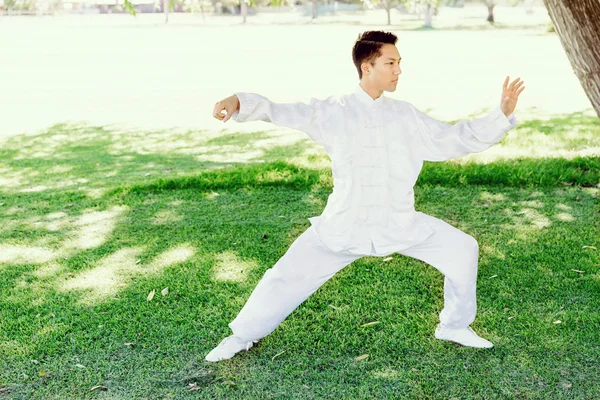 Handsome man practicing thai chi — Stock Photo, Image