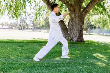 Yakışıklı adam Thai Chi yapıyor.