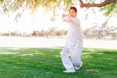 Yakışıklı adam Thai Chi yapıyor.