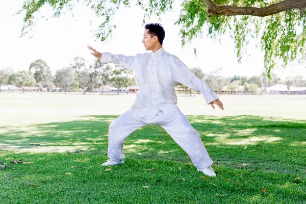 Schöner Mann praktiziert thai chi — Stockfoto