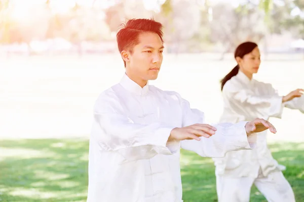 Persone che praticano il thai chi nel parco — Foto Stock