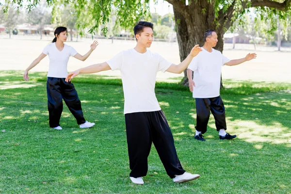 Personnes pratiquant le thai chi dans le parc — Photo