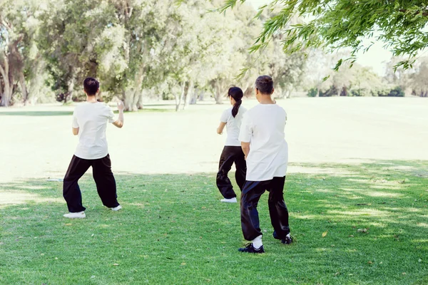 Pessoas praticando tailandês chi no parque — Fotografia de Stock