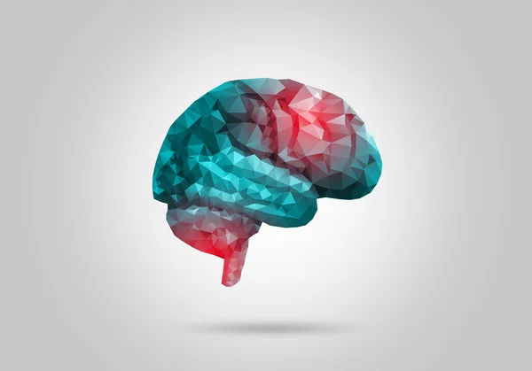 Cerebro humano digital —  Fotos de Stock