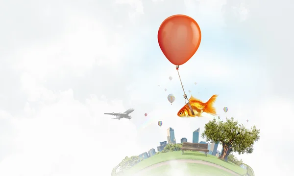 Goldfish fly on balloon — Stock Photo, Image