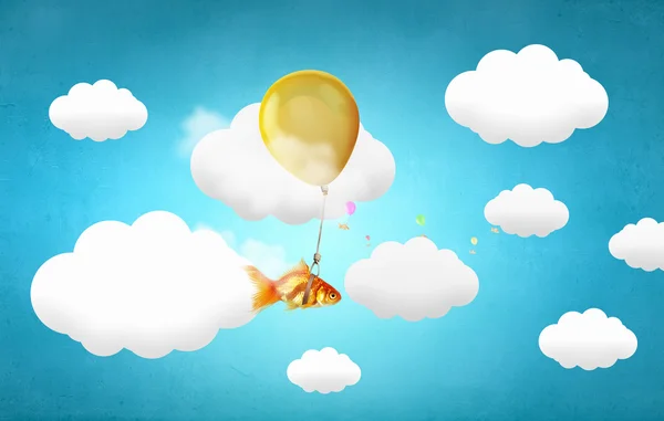 Goldfish voar em balão — Fotografia de Stock
