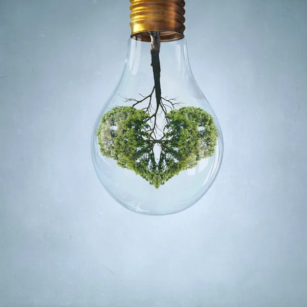 Gröna naturen för friska lungor — Stockfoto