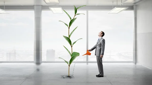 Make your income grow — Stock Photo, Image