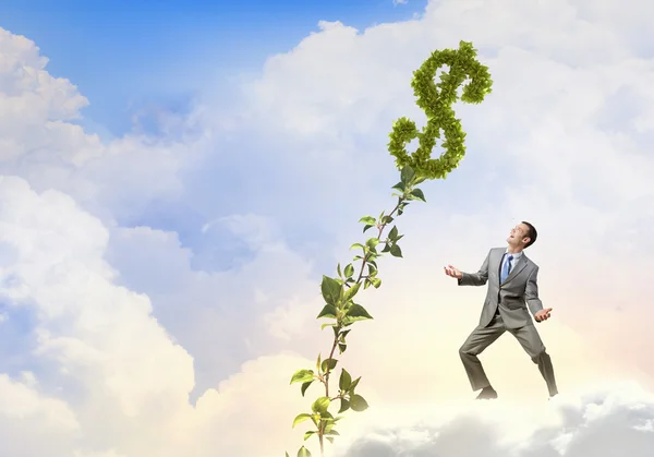 Make your income grow — Stock Photo, Image