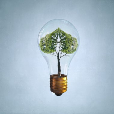 Sağlıklı akciğerler için yeşil doğa