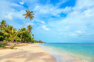 Güneşli bir gün, plaj, Bang Por Tayland Koh Samui.