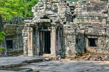 Harabeleri, antik Khmer Tapınağı, Ta Prohm.