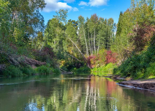 Yaz aylarında Sibirya Tayga. — Stok fotoğraf