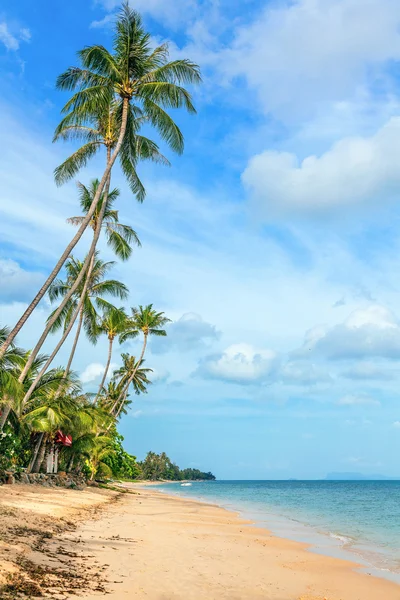 Bang Po pláži v Koh Samui, Thajsko. — Stock fotografie