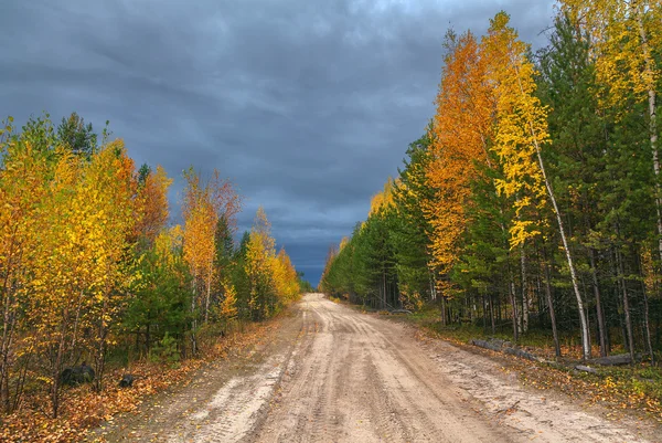 秋天在西伯利亚针叶林地带. — 图库照片