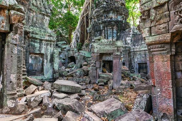 Ruines de l'ancien temple khmer de Ta Prohm . — Photo