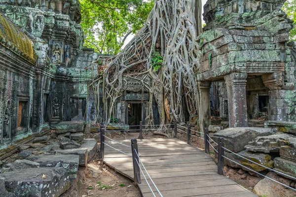 Rovine dell'antico tempio Khmer di Ta Prohm . — Foto Stock