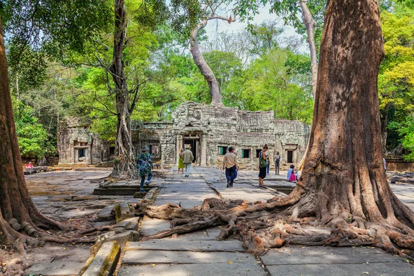 Touristen besuchen den antiken Khmer-Tempel von ta prohm. — Stockfoto