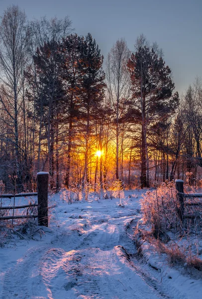 Winter sunrise In Western Siberiai — Stock Photo, Image