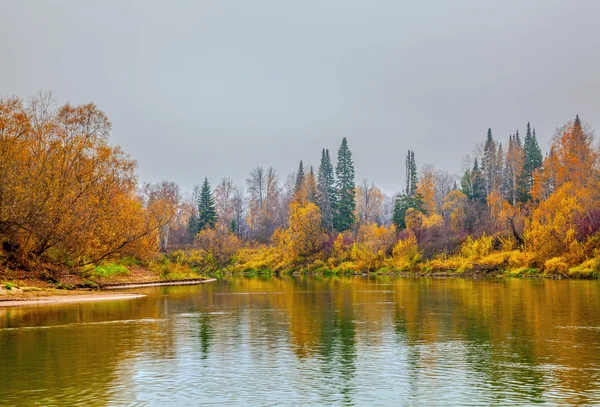 Rainy autumn. Chet river. — Stock Photo, Image