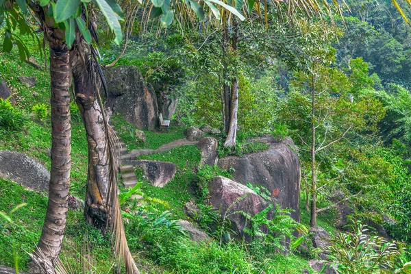 Tropical Park in Thailand. — Stock Photo, Image