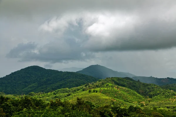 La temporada de lluvias — Foto de Stock