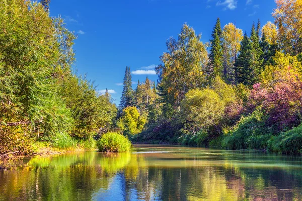 Wilde Natur Sibiriens. — Stockfoto