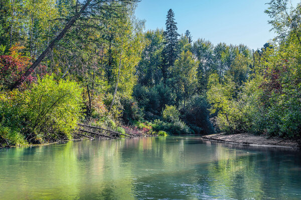 Wild nature of Siberia.