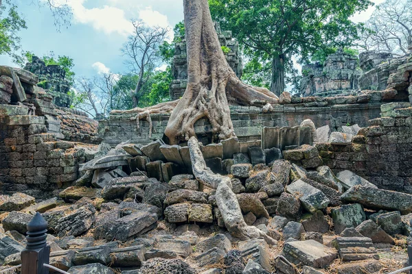 Tempio Khmer di Ta Prohm — Foto Stock