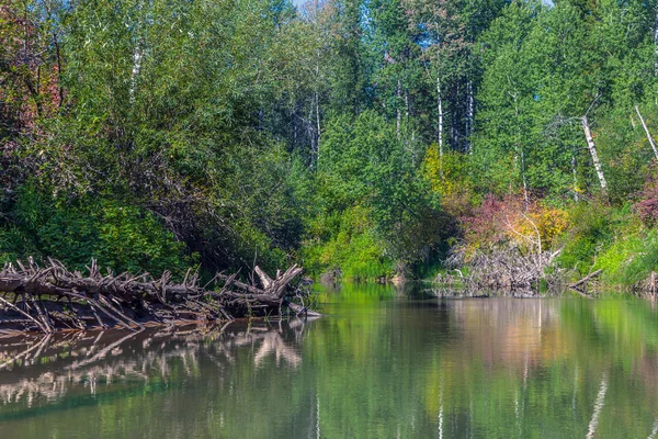 Sibirya doğa — Stok fotoğraf