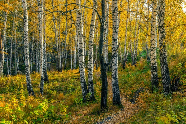 Tarde de otoño — Foto de Stock