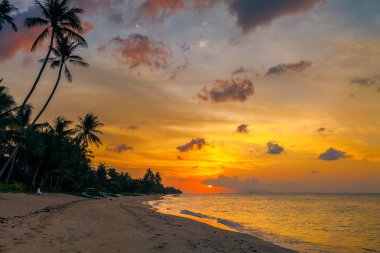 Günbatımı üzerinde plaj, Bang Por Tayland Koh Samui