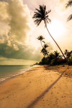 Sabah üzerinde plaj, Bang Po. Samui Adası.