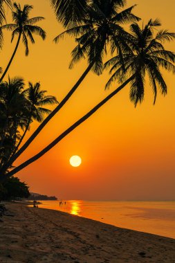 Günbatımı üzerinde plaj, Bang Por Thailan Koh Samui