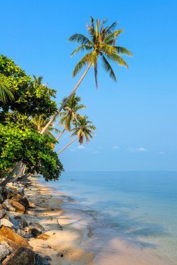 Sabah Koh Samui Adası