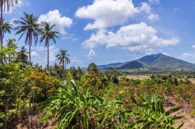 Koh Samui Panoraması.