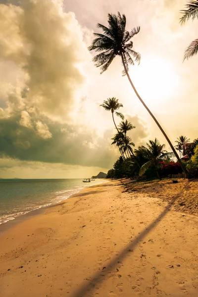 Mattina sulla spiaggia di Bang Po. Isola di Samui . — Foto Stock