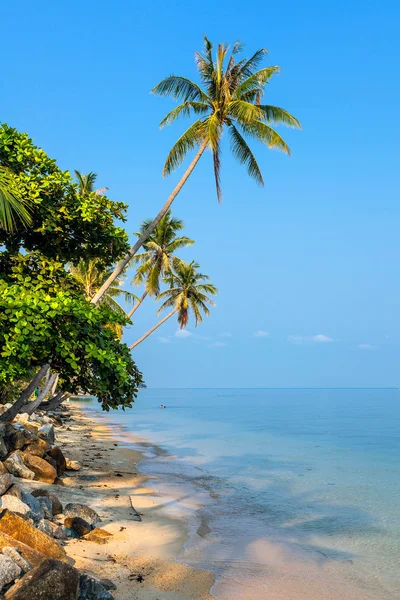 Mattina sull'isola di Koh Samui — Foto Stock