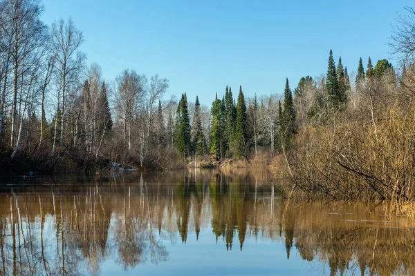 Frühling in Sibirien — Stockfoto