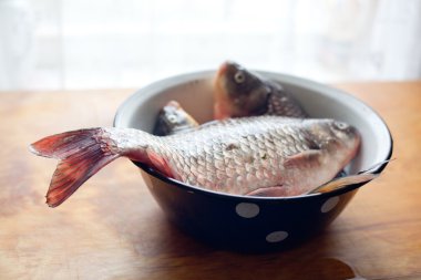 Balıklar tabak veya kase mutfakta masada