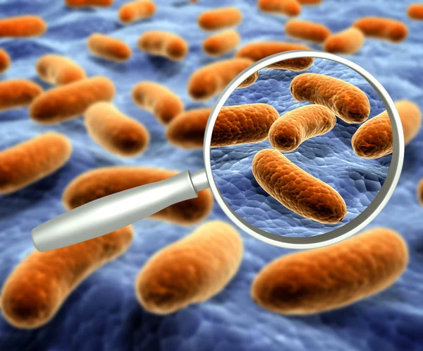 Lupa y bacterias patógenas — Foto de Stock