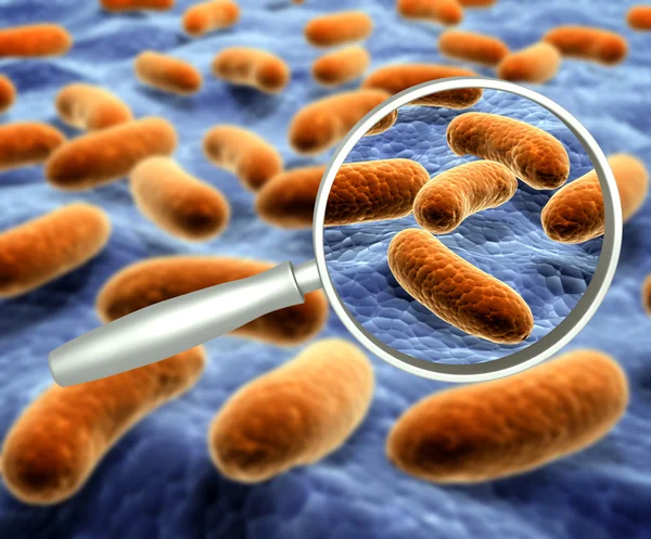 Magnifying glass and pathogen bacteria — Stock Photo, Image