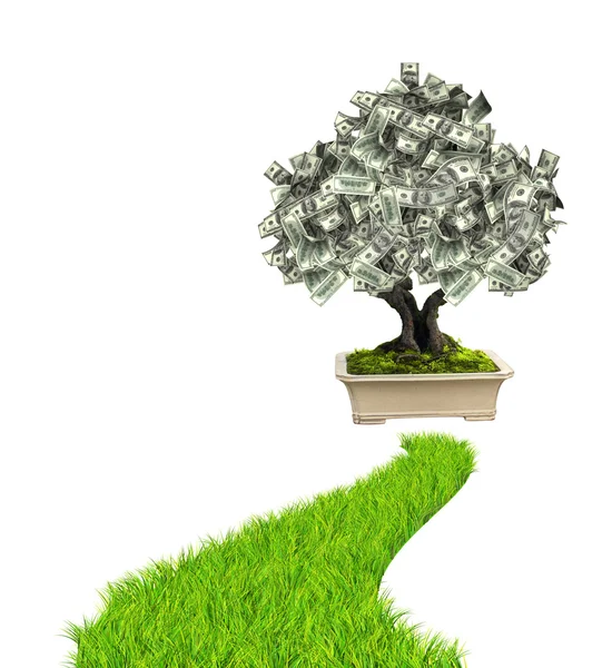 Albero dei soldi con banconote in dollari e strada con erba verde — Foto Stock